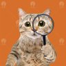 cat za 的头像