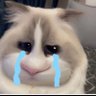 Ciano Freitas's profile picture