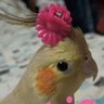 iremiyav's profile picture