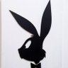 ปีศาจ..สีเทา's profile picture