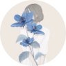 Basel OS 的头像