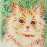 Profilbild von Driss