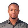 Larry Ndulaka 的头像