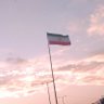حامد ساکت's profile picture
