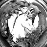 Licorne🦄 profil fotoğrafı