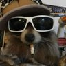 Profilbild von xavr