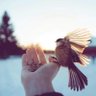 Фото профиля غيث الجزائري