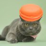 มากะลองสี🍊 profil fotoğrafı