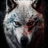 Morad's profile picture