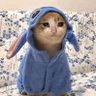 Kenneth. 的头像