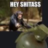 Nut profil fotoğrafı