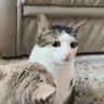 Фото профиля -_-