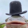 PeixãocomChapeu2023rebaixado's profile picture