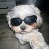 andie!'s profile picture