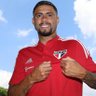 Diego Ferreira 🇾🇪🇧🇷's profile picture