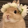 Profilbild von Ms Mimie A