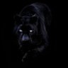 LLegend's profile picture