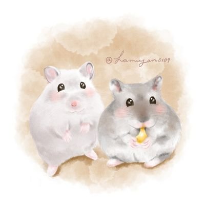 ゆい🐹🐹🐹🐹🐹🐹's profile picture