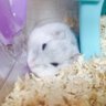 Фото профиля 海底の底に沈んでるちい