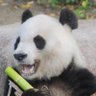 ふなふな profil fotoğrafı