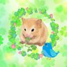 まるあや💚's profile picture