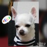 潤san🇯🇵🗣🐕🦺 profil fotoğrafı