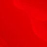 Miguel mulamba's profile picture