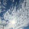 Фото профиля تشلساوي