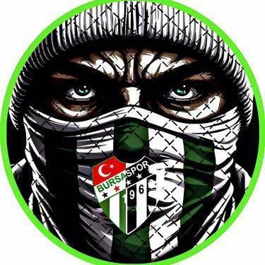 VBursaspor1's profile picture