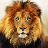 ⚜️HassaN⚜️ profil fotoğrafı