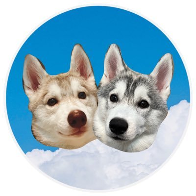 riritan_neru's profile picture