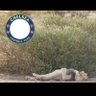 Stunna412 profil fotoğrafı