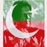 Nazik Ali's profile picture