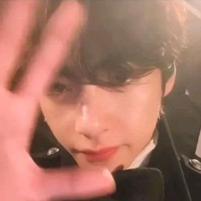 shinaspeed's profile picture