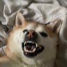 Profilbild von Mike