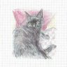 Фото профиля Chieko🐈‍⬛