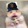 Profilbild von Jefferson