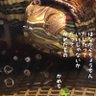 Фото профиля てぃお&かめち＆かめたの母🐢🐢🍓👑