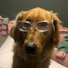 Frankie profil fotoğrafı