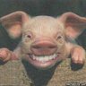 Bouloss00's profile picture