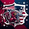SCPatriots 的头像