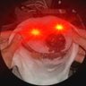 ragnades's profile picture