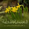 Фото профиля محمدرضا