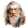 Gandalf The Historian's profile picture