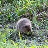 Beaver Banker 的头像