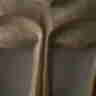 Grant Withers's profile picture