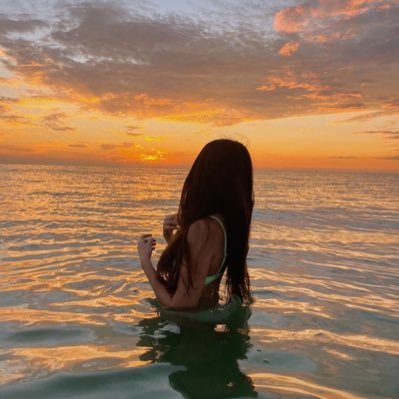sophieRoss 🦊's profile picture