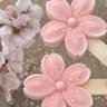 النجــلاء 🌸 profil fotoğrafı
