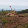 Retired Logger 的头像