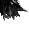 Rain Crow's profile picture